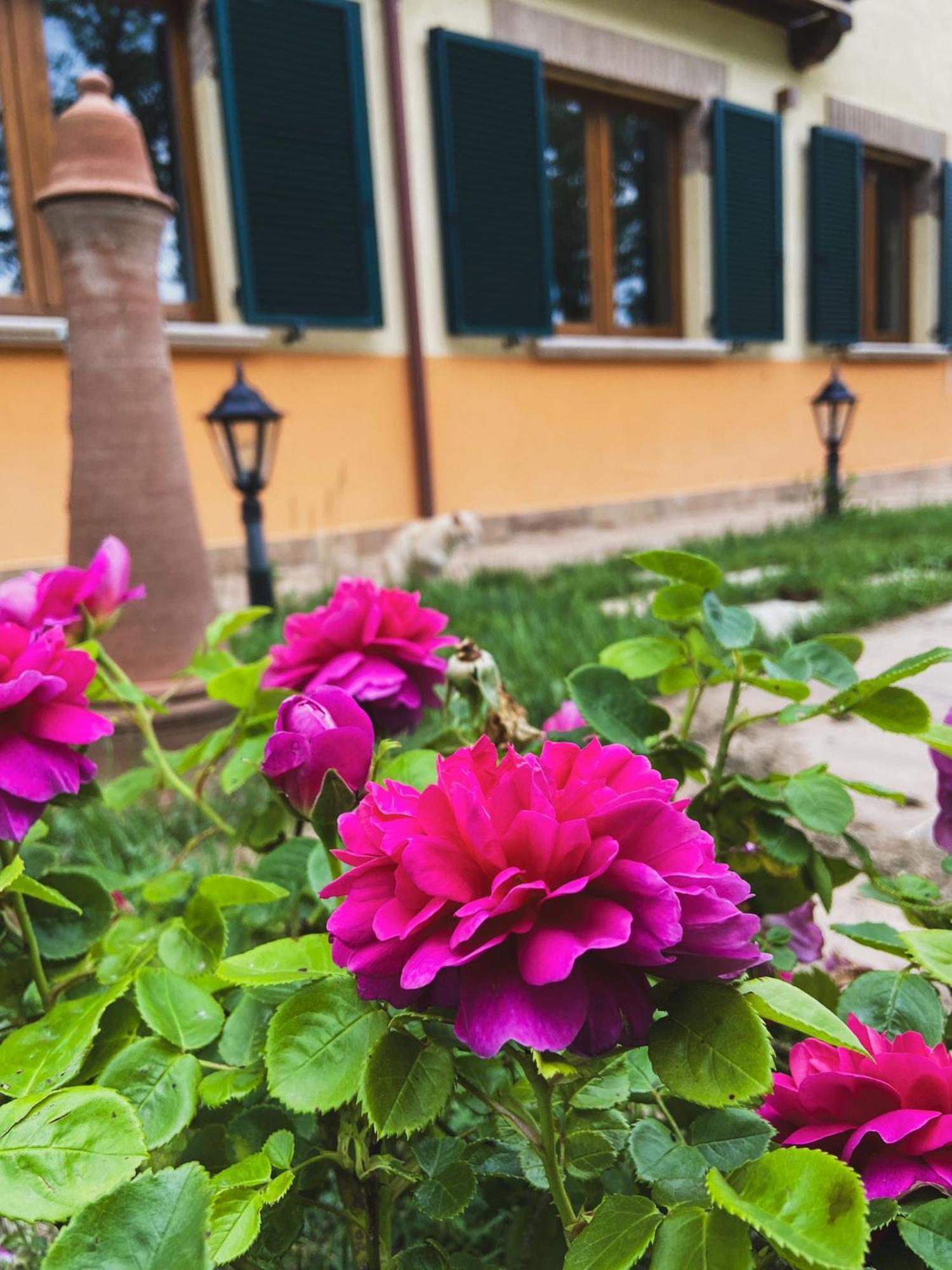 Villa Tadina غالدو تادينو المظهر الخارجي الصورة